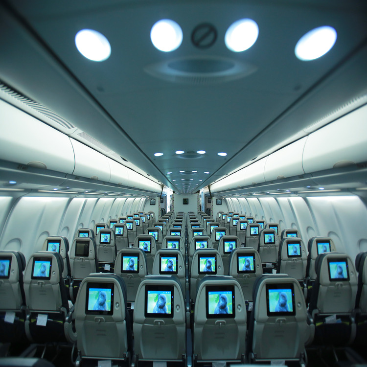 Economy Cabin